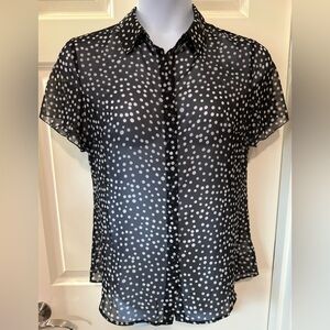 Coldwater Creek Sheer Black Buttoned Blouse with Notched Collar